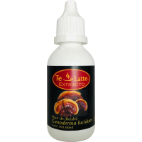 Extracto de Ganoderma Lucidum (REISHI) Extracto de Ganoderma Lucidum (REISHI)
