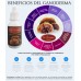 Extracto de Ganoderma Lucidum (REISHI) Extracto de Ganoderma Lucidum (REISHI)